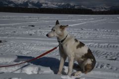 polarna-expedicia-2020-19
