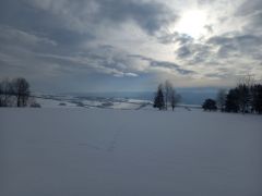 Bliesy-2023-006
